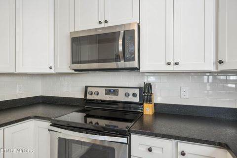 Tiny photo for 185 W Deer Village Lane #B, LaFollette, TN 37766 (MLS # 1339268)