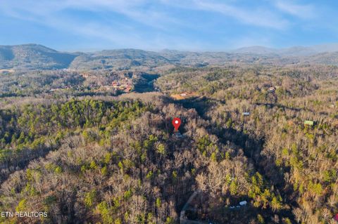 Tiny photo for 3401 Mountain Overlook Way, Sevierville, TN 37876 (MLS # 1324436)