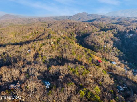 Tiny photo for 3401 Mountain Overlook Way, Sevierville, TN 37876 (MLS # 1324436)