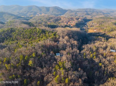 Tiny photo for 3401 Mountain Overlook Way, Sevierville, TN 37876 (MLS # 1324436)