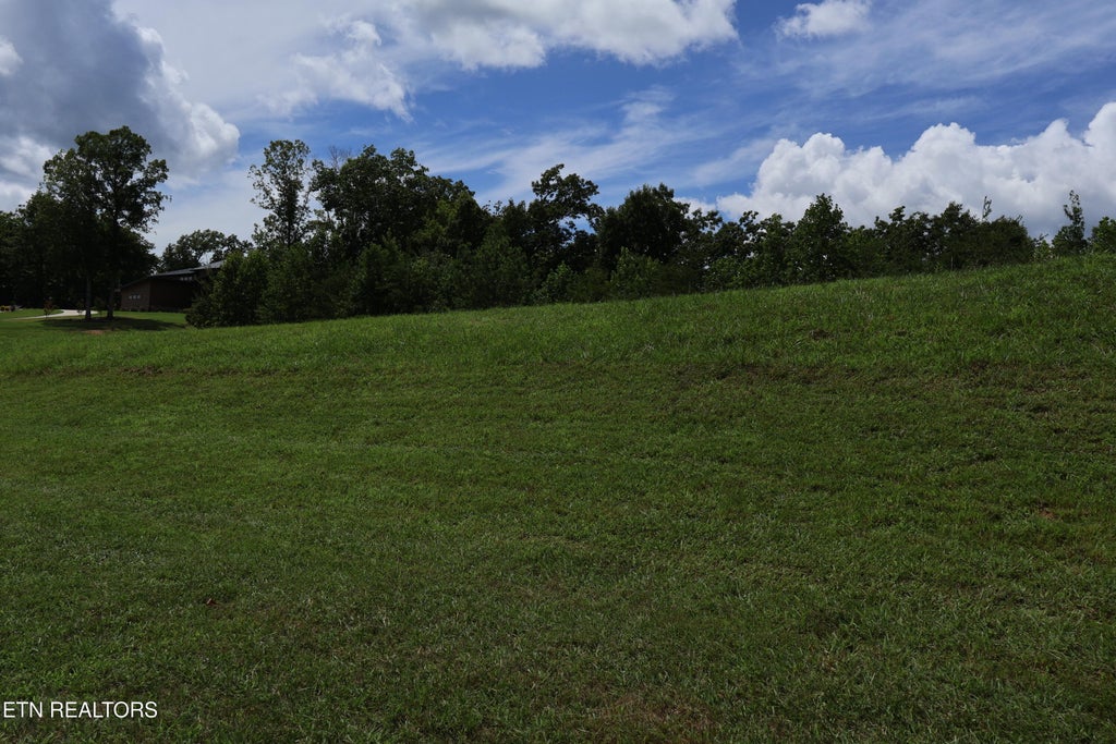 Photo of 127 Highland Reserve Way, Kingston, TN 37763 (MLS # 1341608)