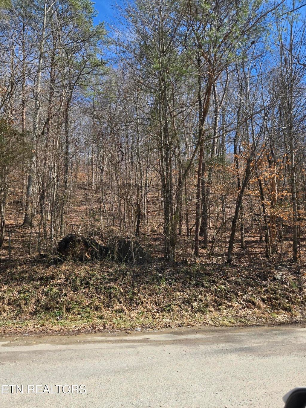 Photo of 204 Archer Rd, Luttrell, TN 37779 (MLS # 1330096)
