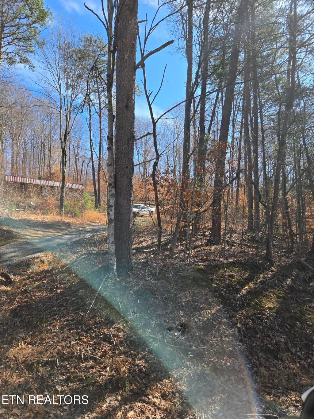 Photo of 204 Archer Rd, Luttrell, TN 37779 (MLS # 1330096)