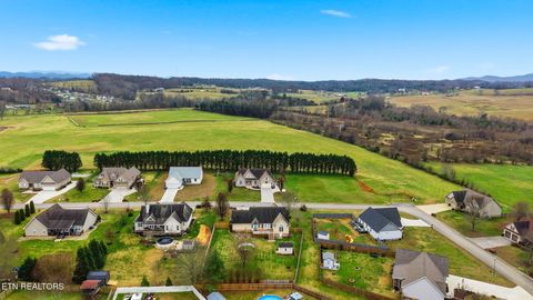 Tiny photo for 164 Wind Chase Way, Madisonville, TN 37354 (MLS # 1323468)