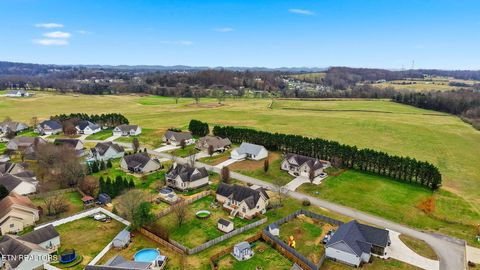 Tiny photo for 164 Wind Chase Way, Madisonville, TN 37354 (MLS # 1323468)