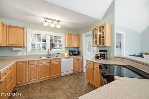 Tiny photo for 164 Wind Chase Way, Madisonville, TN 37354 (MLS # 1323468)