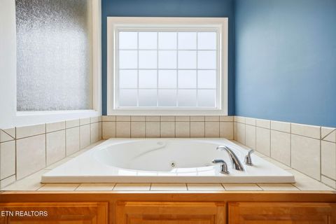 Tiny photo for 164 Wind Chase Way, Madisonville, TN 37354 (MLS # 1323468)