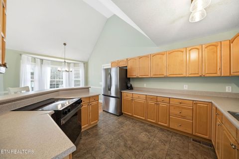 Tiny photo for 164 Wind Chase Way, Madisonville, TN 37354 (MLS # 1323468)