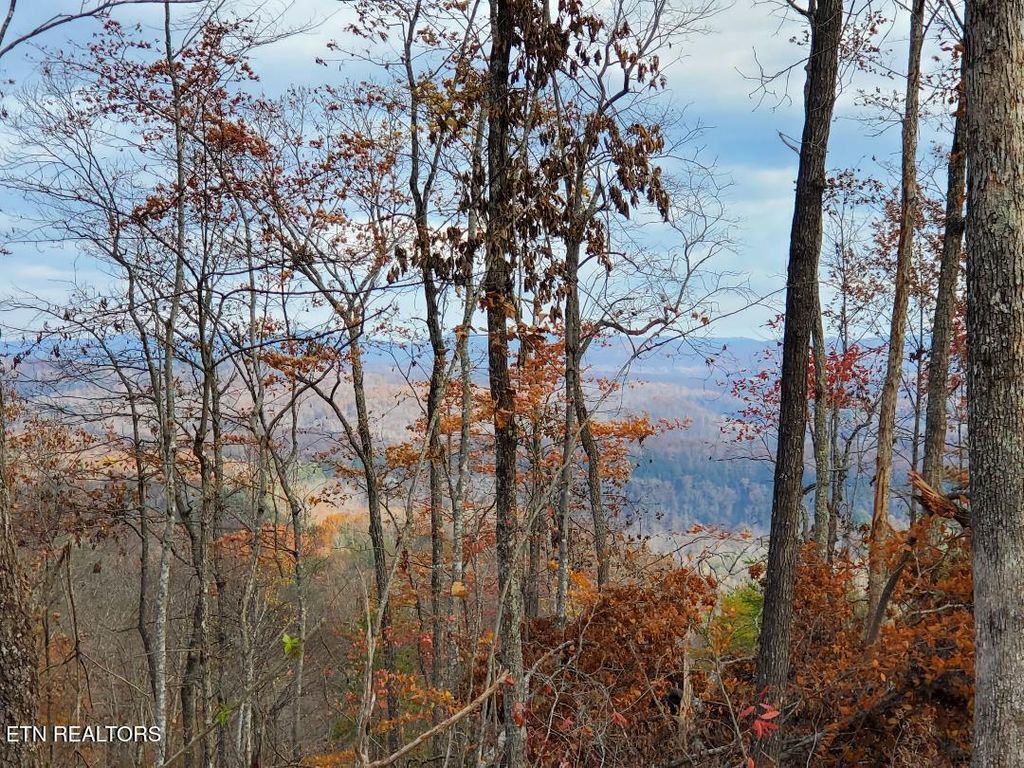 Photo of Bull Creek Lot H Rd, Huntsville, TN 37756 (MLS # 1321255)