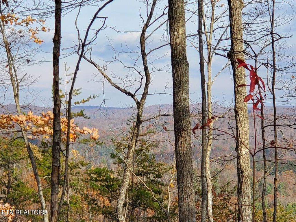 Photo of Bull Creek Lot H Rd, Huntsville, TN 37756 (MLS # 1321255)