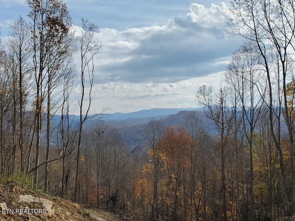 Photo of Bull Creek Lot H Rd, Huntsville, TN 37756 (MLS # 1321255)