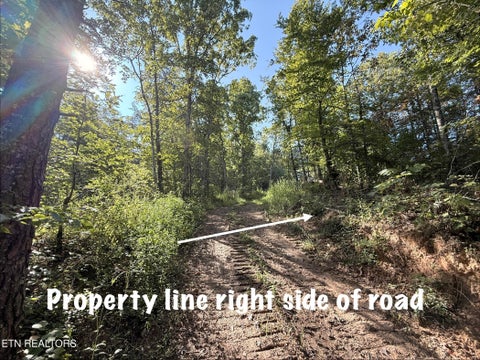 Tiny photo for 1 Big Four Rd, LaFollette, TN 37766 (MLS # 1355833)
