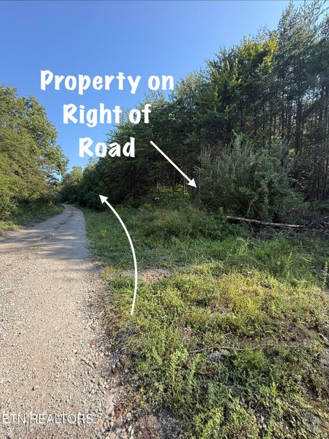 Tiny photo for 1 Big Four Rd, LaFollette, TN 37766 (MLS # 1355833)