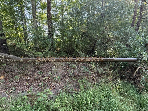 Tiny photo for 1 Big Four Rd, LaFollette, TN 37766 (MLS # 1355833)
