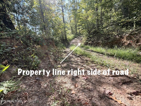 Tiny photo for 1 Big Four Rd, LaFollette, TN 37766 (MLS # 1355833)
