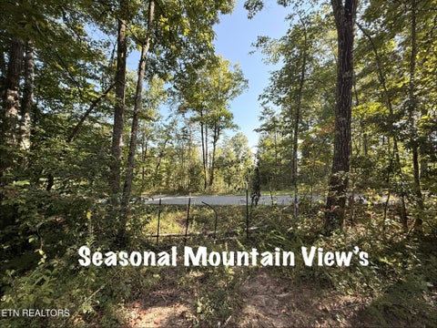 Tiny photo for 1 Big Four Rd, LaFollette, TN 37766 (MLS # 1355833)