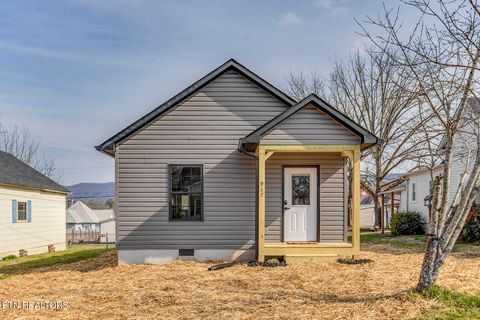 917 Washington Ave Etowah TN 37331