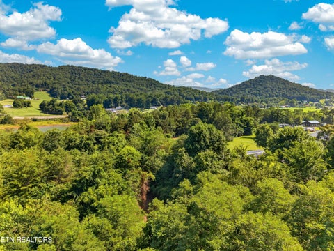 Tiny photo for Rocky Springs Rd, Bean Station, TN 37708 (MLS # 1346845)