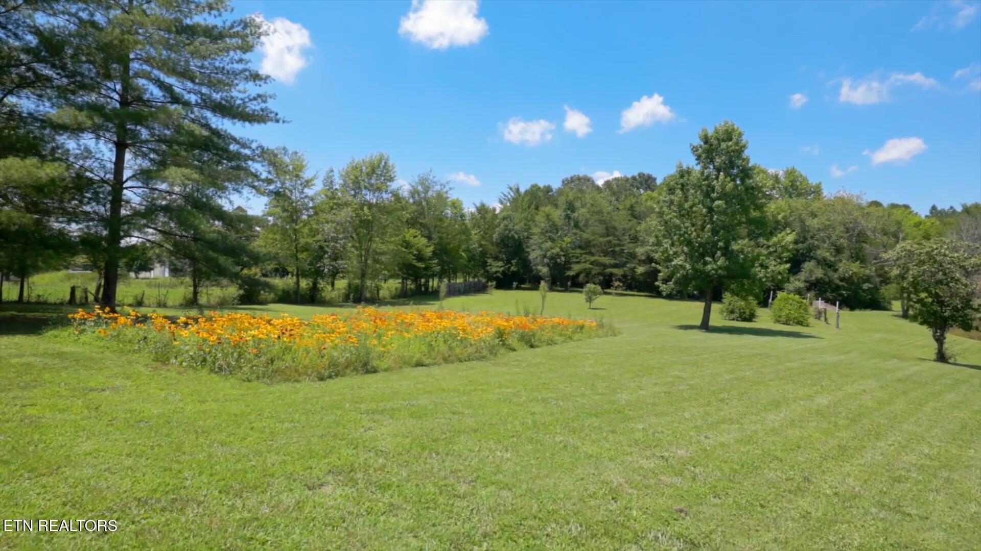 357 Doc Norton Rd