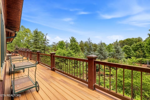 Tiny photo for 1309 Licklog Hollow Rd, Sevierville, TN 37876 (MLS # 1355575)