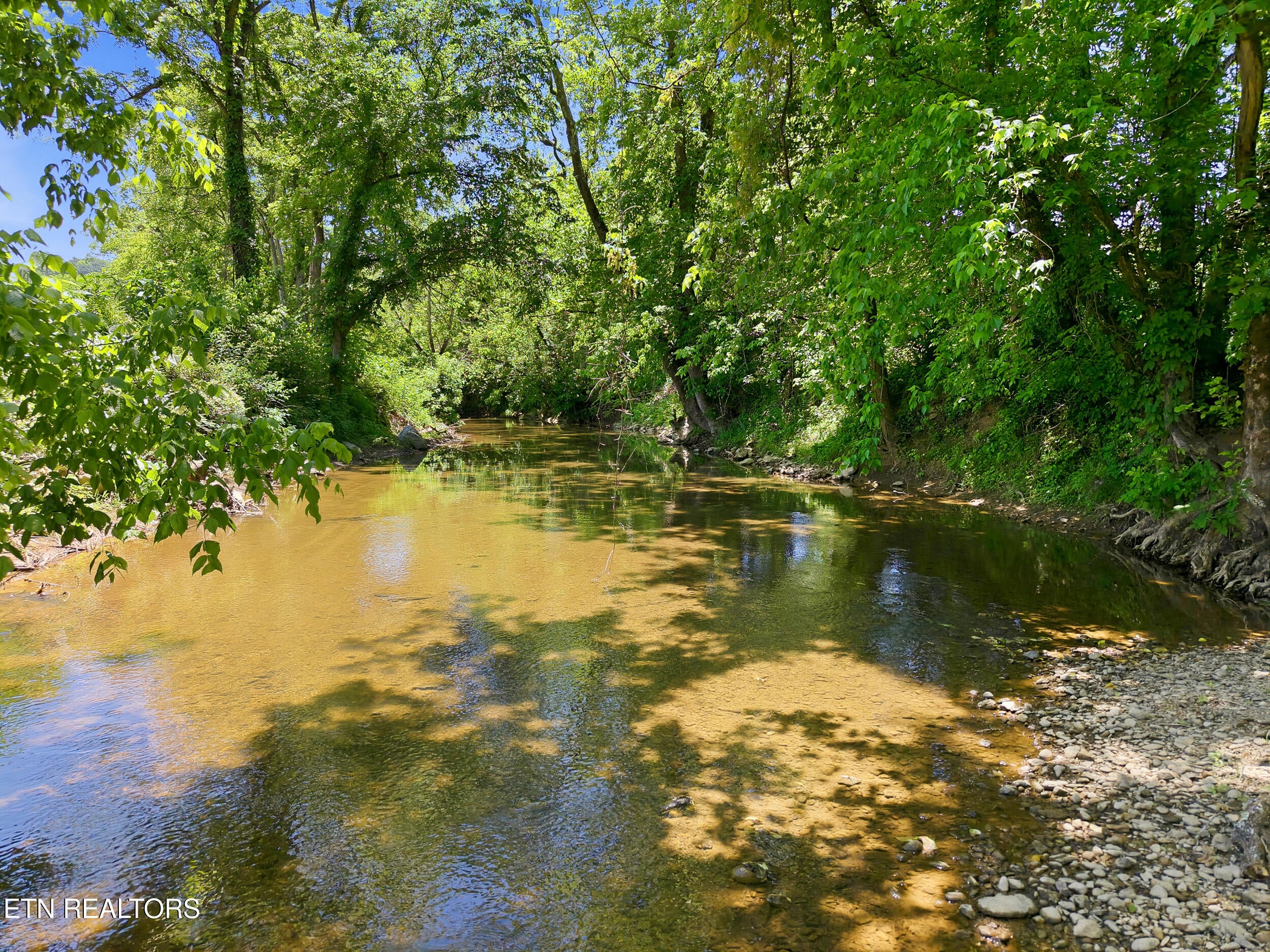 1309 Licklog Hollow Rd