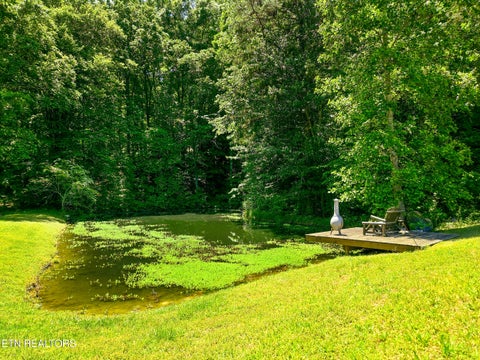 Tiny photo for 1309 Licklog Hollow Rd, Sevierville, TN 37876 (MLS # 1355575)