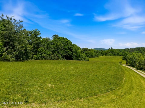 Tiny photo for 1309 Licklog Hollow Rd, Sevierville, TN 37876 (MLS # 1355575)