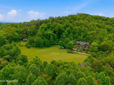 Tiny photo for 1309 Licklog Hollow Rd, Sevierville, TN 37876 (MLS # 1355575)