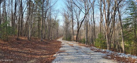 Photo of 2936 Leatherwood Ford Rd, Jamestown, TN 38556 (MLS # 1330931)