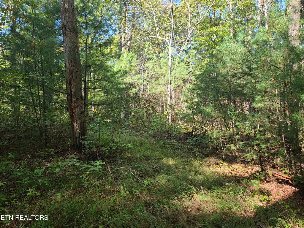 Photo of Hannah Davidson Rd, Deer Lodge, TN 37726 (MLS # 1321802)