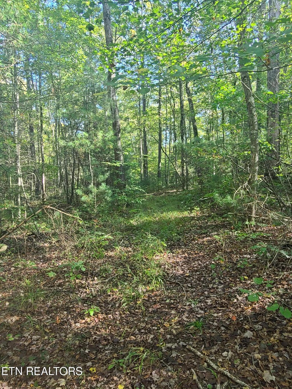 Photo of Hannah Davidson Rd, Deer Lodge, TN 37726 (MLS # 1321802)