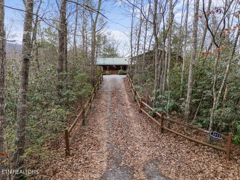 Tiny photo for 3859 Warden Branch Lane, Gatlinburg, TN 37738 (MLS # 1324633)