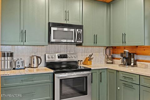 Tiny photo for 3859 Warden Branch Lane, Gatlinburg, TN 37738 (MLS # 1324633)