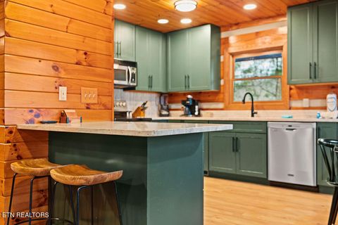 Tiny photo for 3859 Warden Branch Lane, Gatlinburg, TN 37738 (MLS # 1324633)