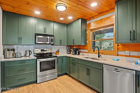 Tiny photo for 3859 Warden Branch Lane, Gatlinburg, TN 37738 (MLS # 1324633)