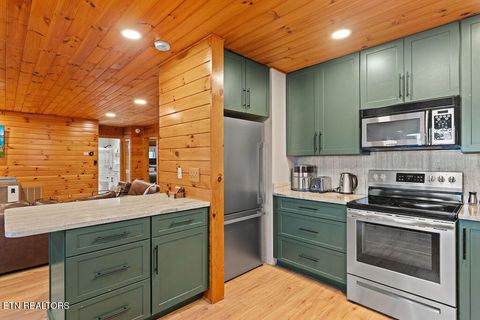 Tiny photo for 3859 Warden Branch Lane, Gatlinburg, TN 37738 (MLS # 1324633)