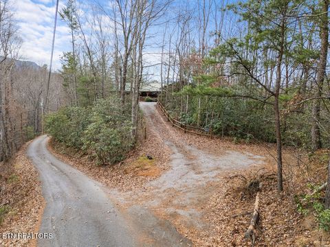 Tiny photo for 3859 Warden Branch Lane, Gatlinburg, TN 37738 (MLS # 1324633)