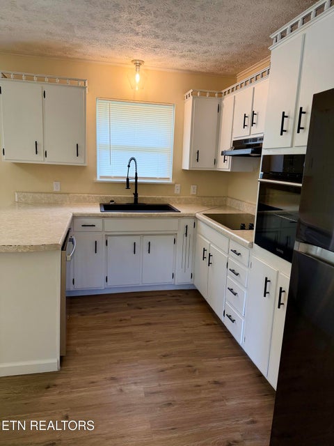 Tiny photo for 151 Jaynes Rd, Tazewell, TN 37879 (MLS # 1359782)
