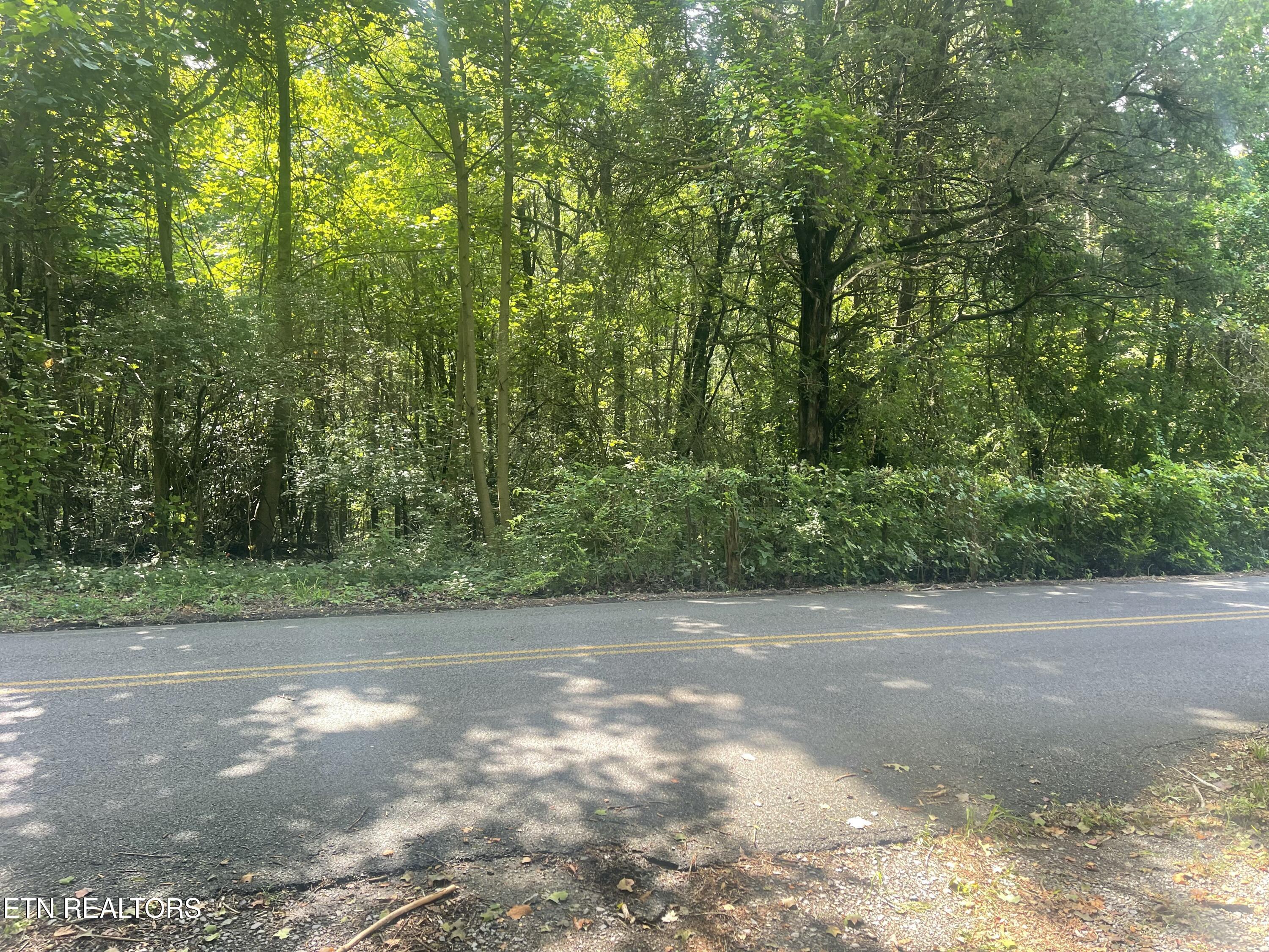 000 County Road 260