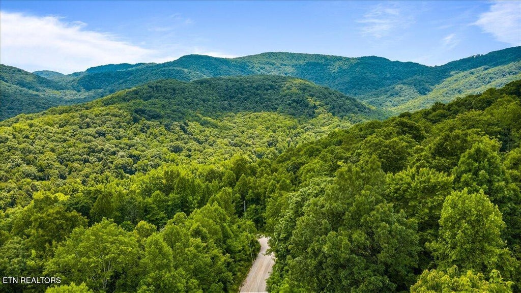 Photo of Racoon Lane, Pioneer, TN 37847 (MLS # 1352083)