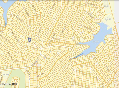 Photo of 1014 Chief Day Break Drive, Crossville, TN 38572 (MLS # 1337466)