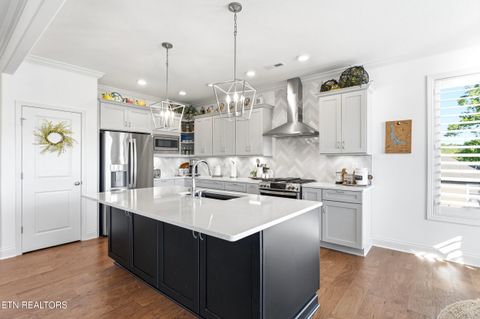 Tiny photo for 369 Golanvyi Tr, Vonore, TN 37885 (MLS # 1338034)