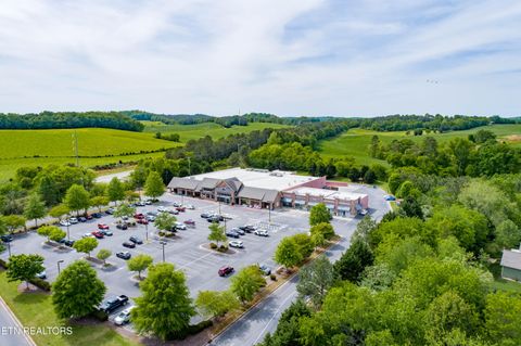 Tiny photo for 369 Golanvyi Tr, Vonore, TN 37885 (MLS # 1338034)