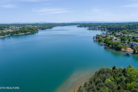 Tiny photo for 369 Golanvyi Tr, Vonore, TN 37885 (MLS # 1338034)