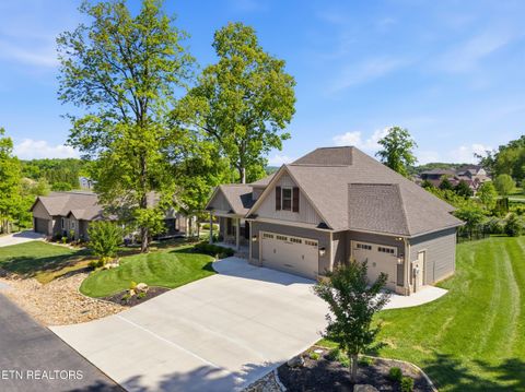 Tiny photo for 369 Golanvyi Tr, Vonore, TN 37885 (MLS # 1338034)