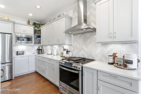 Tiny photo for 369 Golanvyi Tr, Vonore, TN 37885 (MLS # 1338034)