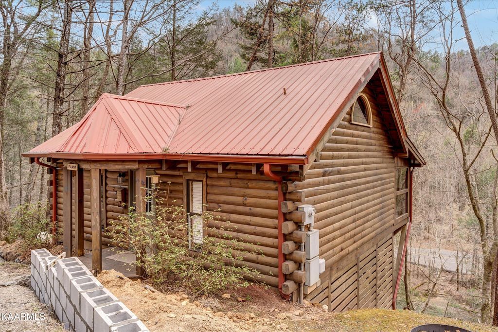 Photo of 220 Parkline Way, Townsend, TN 37882 (MLS # 1221068)