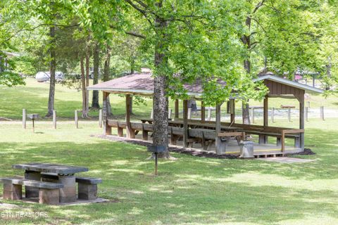 Tiny photo for 144 Caron Drive, Spring City, TN 37381 (MLS # 1339424)