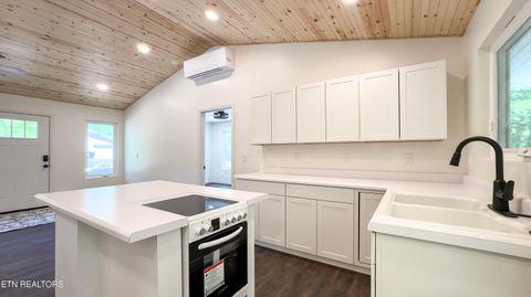 Tiny photo for 144 Caron Drive, Spring City, TN 37381 (MLS # 1339424)