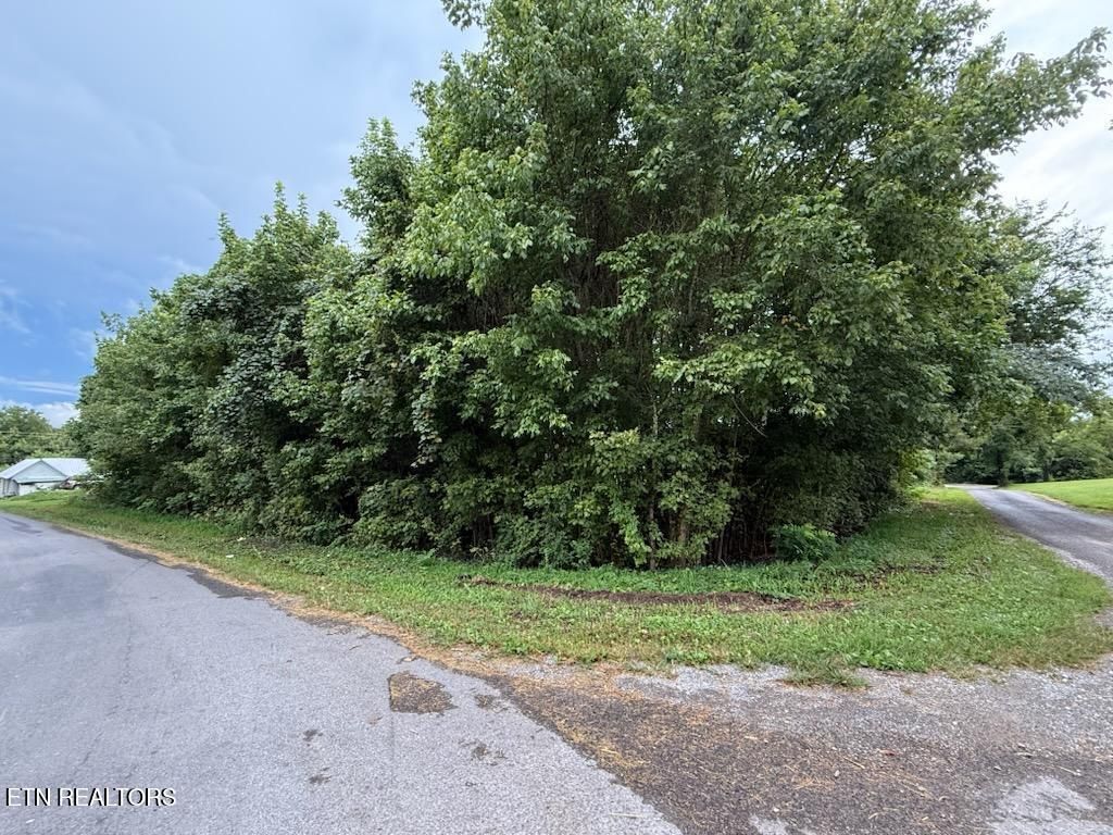 Photo of 000 Pete Worthington Rd, Dayton, TN 37321 (MLS # 1312725)